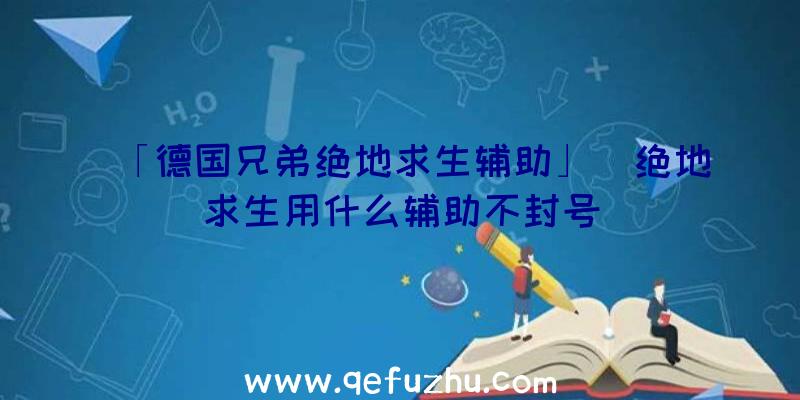 「德国兄弟绝地求生辅助」|绝地求生用什么辅助不封号